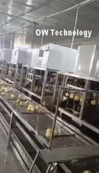 High Speed Apple Peeling Machine Line