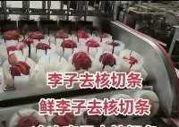 Fruit Core Removal With Half Cutting Machine