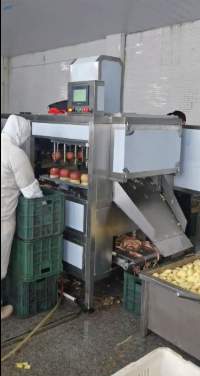 High Speed Apple Peeling Machine Remove Seeds