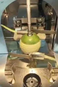 Watermenlon Peeling Machine For Fruits Vegetable
