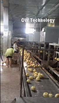 High Speed Apple Peeling Machine
