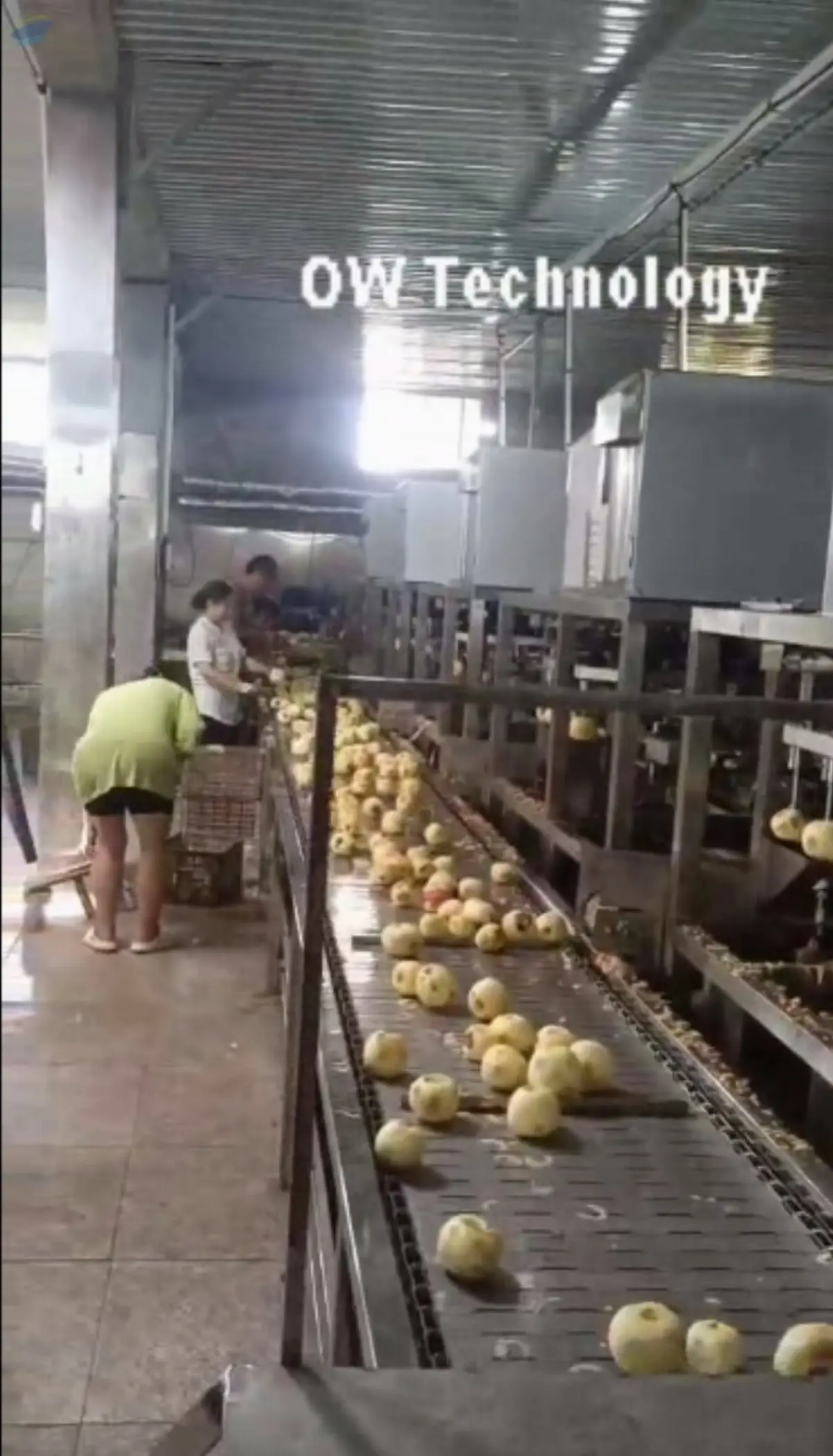 High speed apple peeling machine