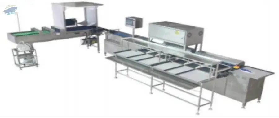 Egg Grading Machine Inspection