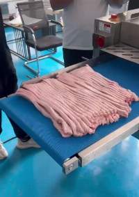 Meat cutting machine