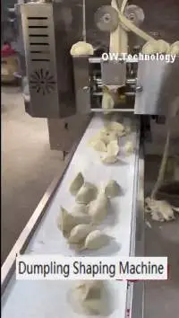 Dumping Shaping Machine