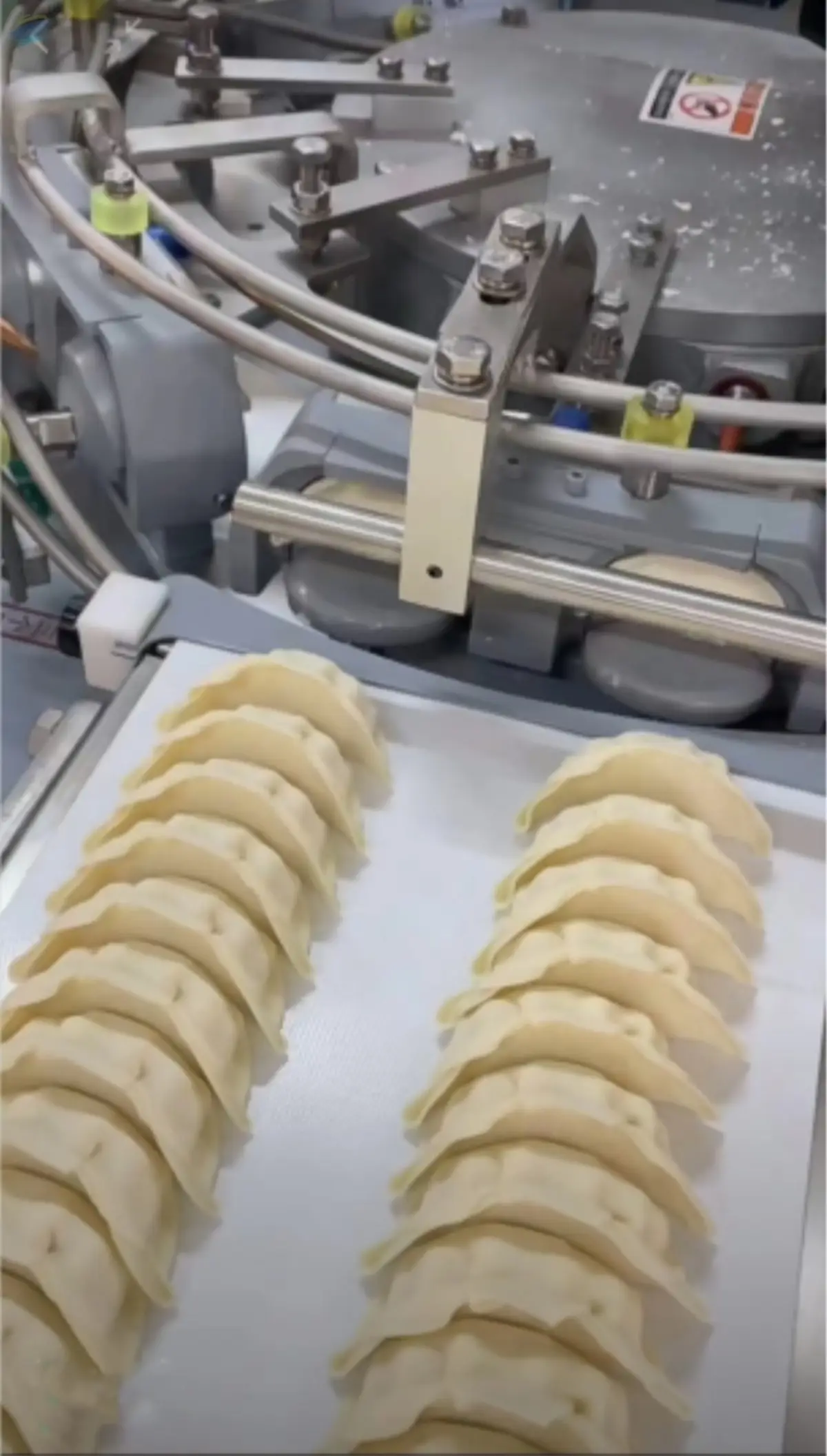 Crystal Shrimp Dumplings Making Machine