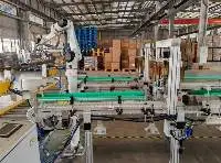 Customized Robot Palletizer And Move Product