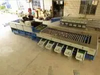 Fruits Vegetables Grading Machine