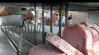 Meat Bone Sawing Machine For Food