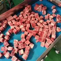 Meat Dice Cutting Machine