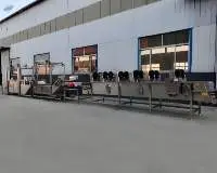 Vegetable Cleaning Production Line Machine