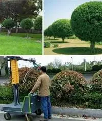 Full Automatic Green Plant Pruning Machine