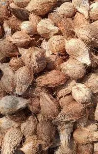 Semi Husk Coconut