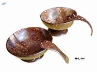 Coconut Shell (bowl & spoon)