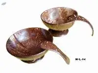 Coconut Shell (bowl & spoon)