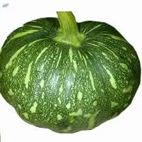 Sweet Pumpkin