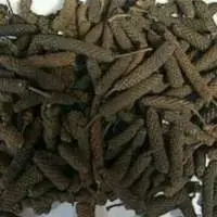 Long Pepper Indonesia Origin