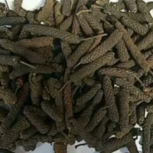 Long Pepper Indonesia Origin
