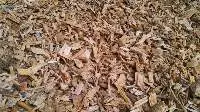 Wood Chips Indonesia Origin