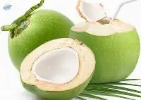 Young Coconut / Tender Coconut Green