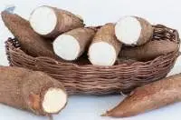 Cassava Chips Dried Indonesia Origin