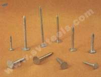 Galvanized Nails