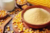 Corn Gluten Meal GMO Protein - 61.6%