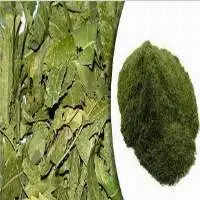 Neem Powder