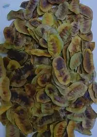 Senna Pods