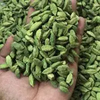 Cardamom