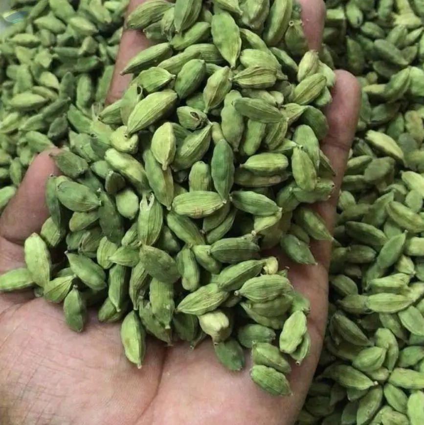 Cardamom