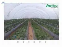 Mulch Film