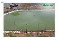 Water Membrane