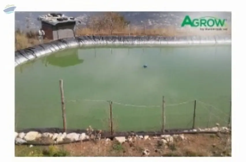 Water Membrane