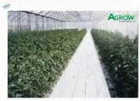 Ground Cover Film