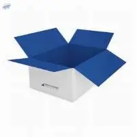 Regular Slotted Container (RSC)