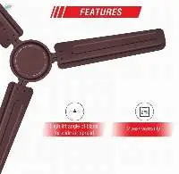 Ceiling Fans