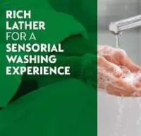 Hand Wash - 200ML(Pump)