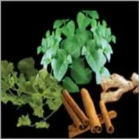 Pure Herbs