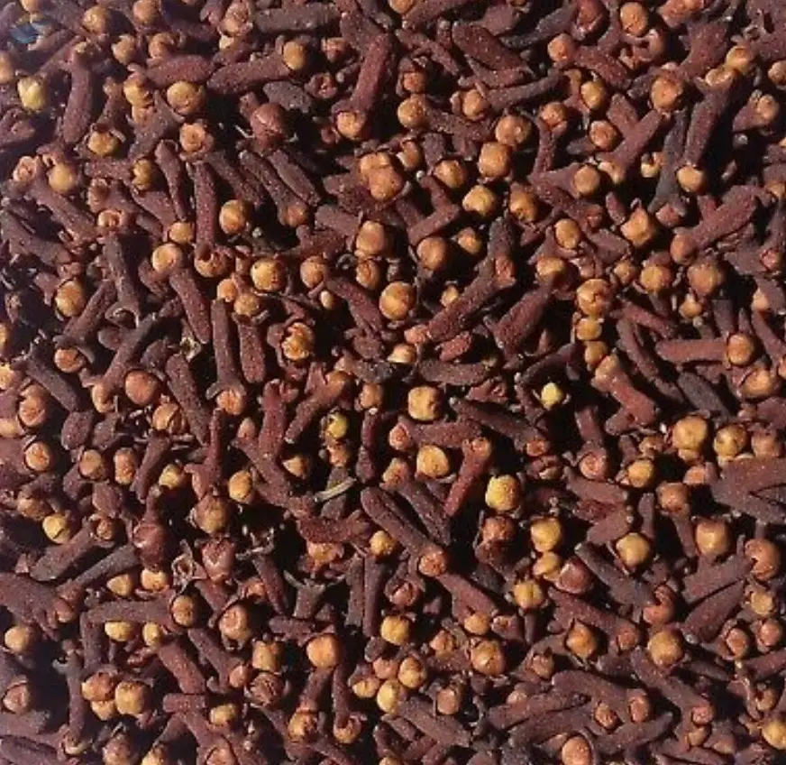 Cloves by Pureglaze Products. Supplier from India. Product Id 1513843.