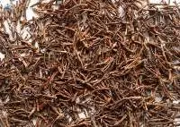 Clove Stems