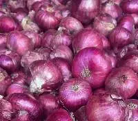Fresh Onion
