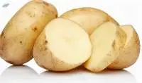 Potato