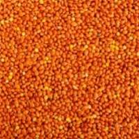 Premium Quality Export Grade Red Millets