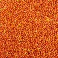 Premium Quality Export Grade Red Millets