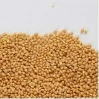 Premium Quality Export Grade Yellow Millets