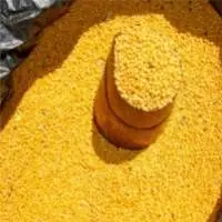Premium Quality Yellow Mustard Seeds