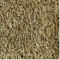 Premium Indian Cumin Seeds for Global Export