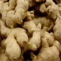 Premium Dried Ginger for Global B2B Export