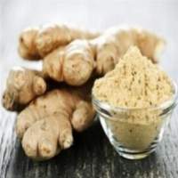 Premium Ginger Powder for Global B2B Export
